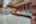 Blurred preview of media: Knot RO Ky Home-20