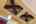 Blurred preview of media: 2025_01_January_47_Major_Ridge_Rd_0134