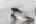 Blurred preview of media: 017_ROB05207