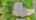 Blurred preview of media: DJI_20261001114216_0803_D_autoremove_65005076