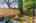 Blurred preview of media: 1-31