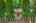 Blurred preview of media: 02