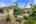 Blurred preview of media: 0101