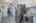 Blurred preview of media: IMG_3037