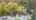 Blurred preview of media: 72