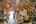 Blurred preview of media: DSC_5919_20_21_easyHDR