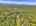 Blurred preview of media: DJI_20260603131327_0272_D_3_D_4_D_easyHDR