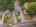 Blurred preview of media: DJI_0361