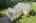 Blurred preview of media: 24 Rocky Dundee Road Bolton Massachusetts Job 40400 (Exteriors) 0028