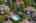 Blurred preview of media: Aerial 10 Marker