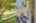 Blurred preview of media: DSC09181