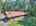 Blurred preview of media: DJI_20260829120229_0213_D_4_D_5_D_easyHDR