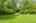 Blurred preview of media: 592 Sugar Road Bolton Massachusetts Job 38874 0024