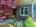 Blurred preview of media: IMG_8946