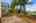 Blurred preview of media: 1-42