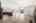 Blurred preview of media: 13