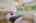 Blurred preview of media: 1-21