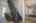 Blurred preview of media: IMG_9107