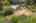 Blurred preview of media: 09