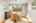 Blurred preview of media: 1-11
