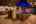 Blurred preview of media: 2025_01_January_47_Major_Ridge_Rd_0150