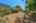 Blurred preview of media: 26