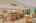 Blurred preview of media: DSC00595