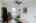 Blurred preview of media: 20250618L_lg_JW0102