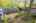 Blurred preview of media: 62