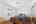 Blurred preview of media: DSC06557