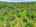 Blurred preview of media: DJI_20260604125800_0404_D_5_D_6_D_easyHDR