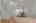 Blurred preview of media: 67