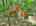 Blurred preview of media: DJI_20260608135758_0515_D_6_D_7_D_easyHDR