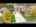 Blurred preview of media: Unknown media