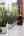 Blurred preview of media: A-13