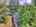 Blurred preview of media: DJI_20250616144100_0798_D_799_D_800_D_easyHDR edited 1