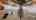 Blurred preview of media: 4815 Saddle Bend Way-43