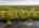 Blurred preview of media: 817 Brill Road Aerial LRCF-49