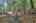 Blurred preview of media: 9zzx