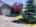 Blurred preview of media: IMG_8947