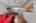 Blurred preview of media: 11-print-P2209447