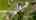 Blurred preview of media: 20250618L_lg_JW0013