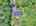 Blurred preview of media: DJI_20260603130605_0215_D_6_D_7_D_easyHDR