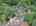 Blurred preview of media: DJI_20260616121320_0928_D_29_D_30_D_easyHDR