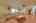 Blurred preview of media: Sky Tour-112