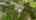 Blurred preview of media: 85208 Airplane Lane-82