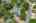 Blurred preview of media: DJI_0069