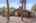 Blurred preview of media: 1E0A3841 copy