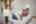 Blurred preview of media: 0003