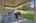 Blurred preview of media: DSC08572